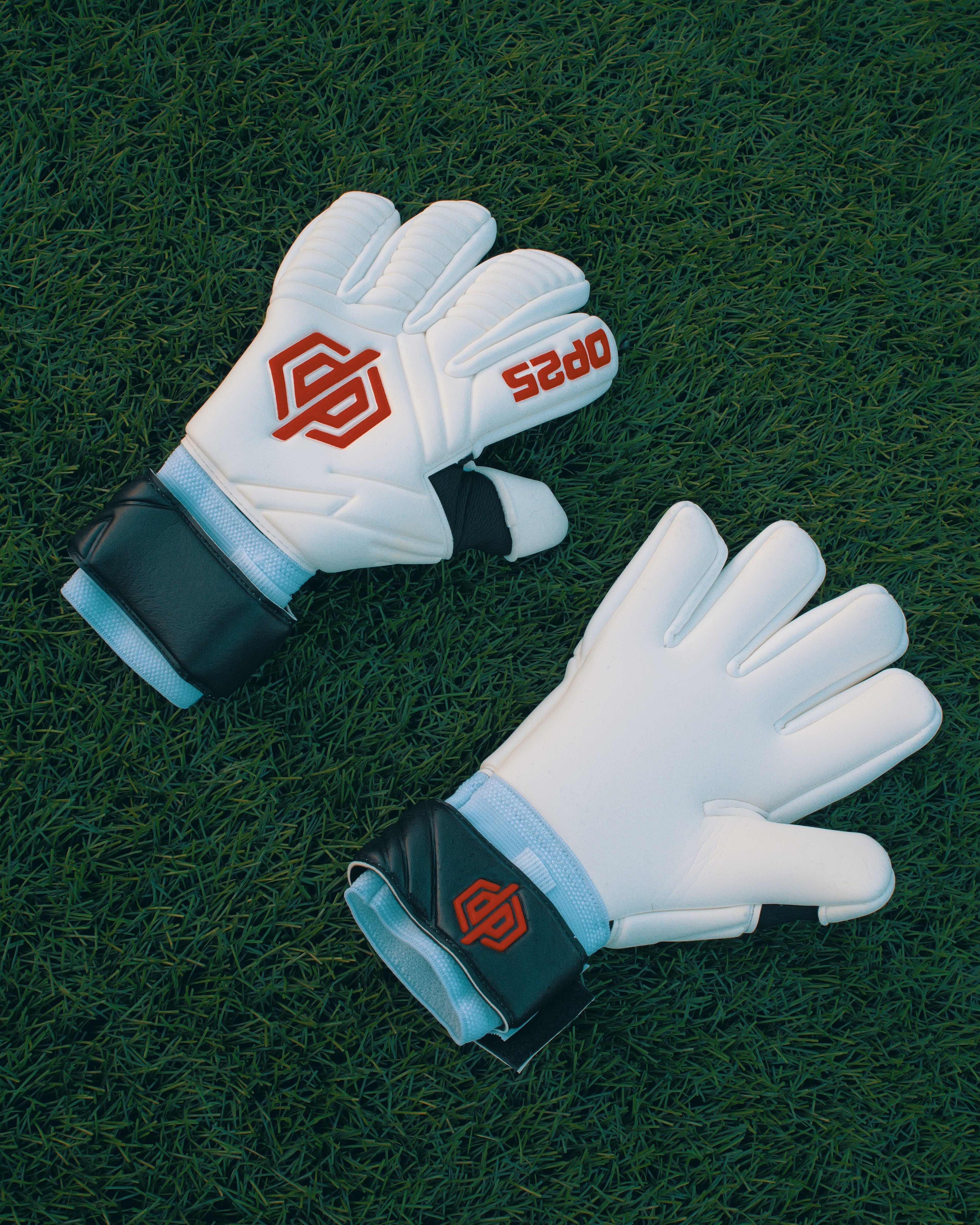 DP25 - RED LINE